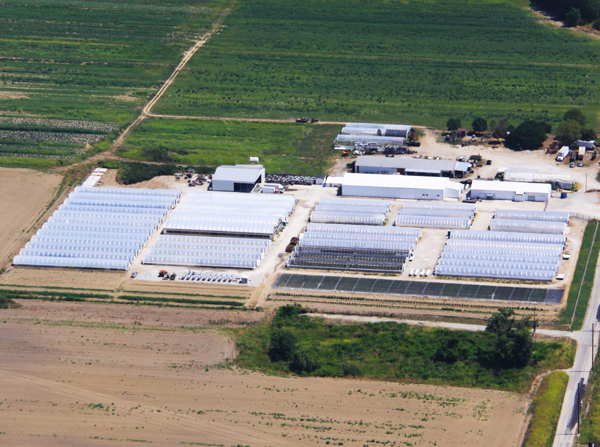 A bird's eye view of the greenhouse.